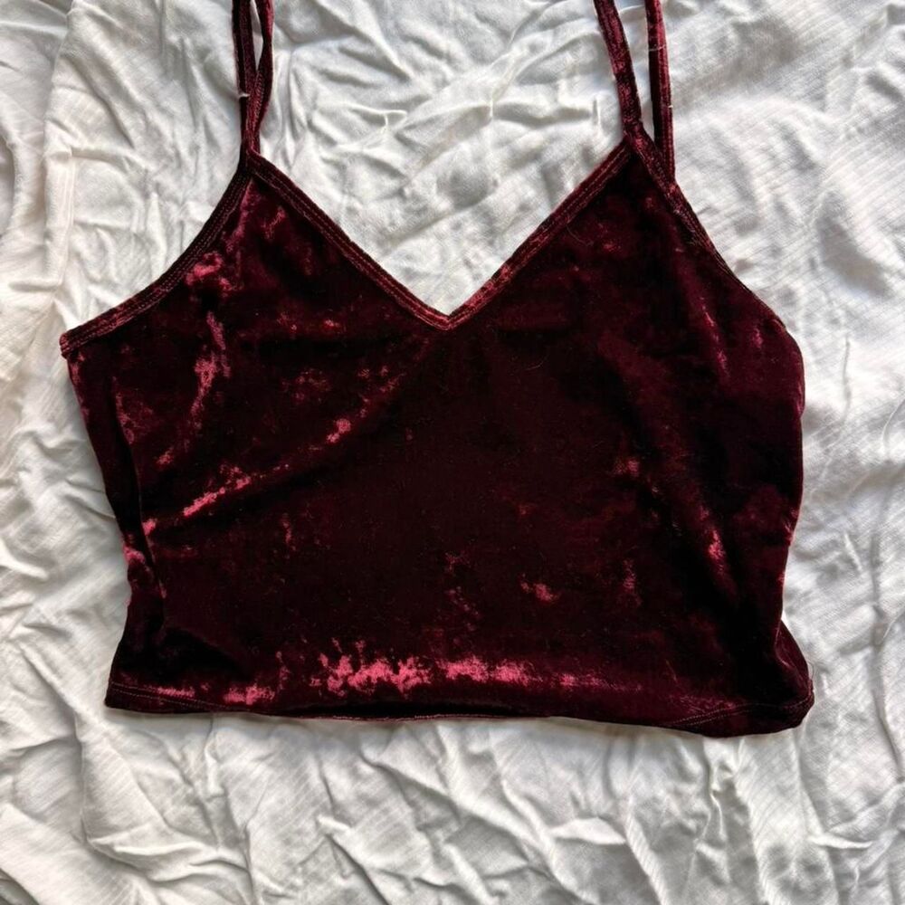 Women's Burgundy and Red Crop-top